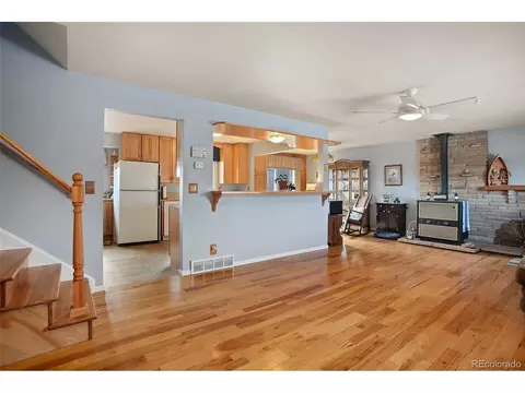 4666 E 115th Ct, Thornton, CO 80233 photo 3