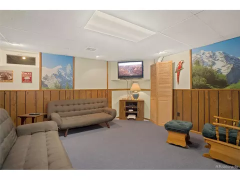 4666 E 115th Ct, Thornton, CO 80233 photo 29