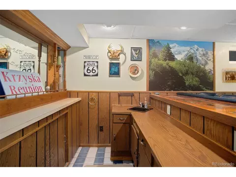 4666 E 115th Ct, Thornton, CO 80233 photo 28