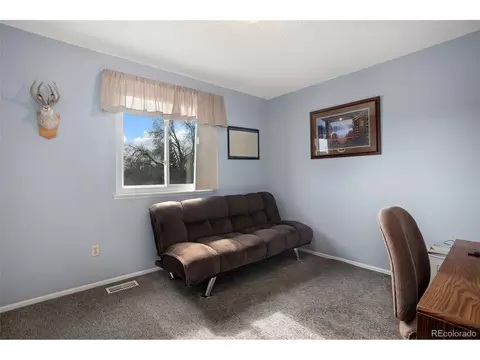 4666 E 115th Ct, Thornton, CO 80233 photo 22