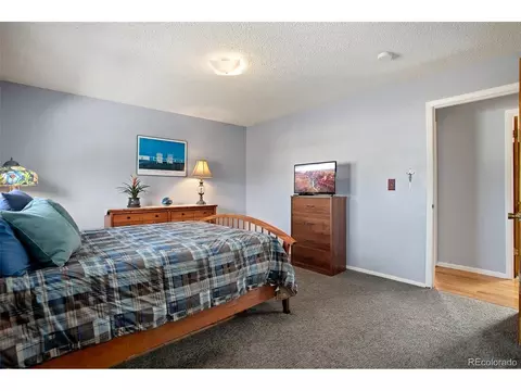 4666 E 115th Ct, Thornton, CO 80233 photo 19