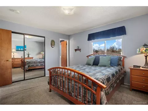 4666 E 115th Ct, Thornton, CO 80233 photo 20