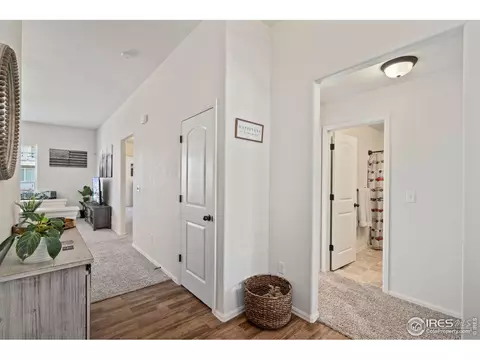 1751 Thrive Dr, Windsor, CO 80550 photo 4