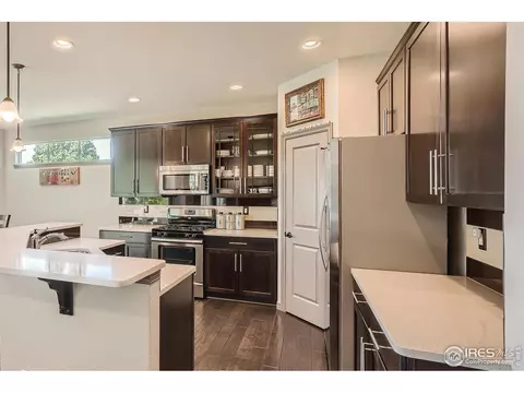 4615 Pompano Dr, Windsor, CO 80550 photo 6