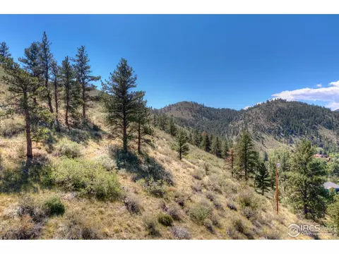 57 Longmont Dam Rd, Lyons, CO 80540 photo 18