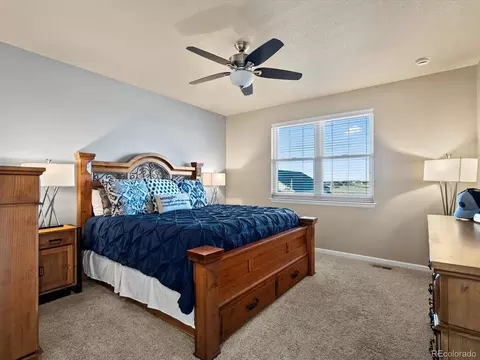 10883 E 163rd Ct, Brighton, CO 80602 photo 16