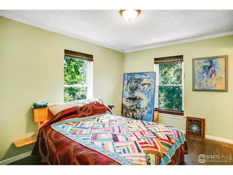241 Evans St, Lyons, CO 80540 photo 19