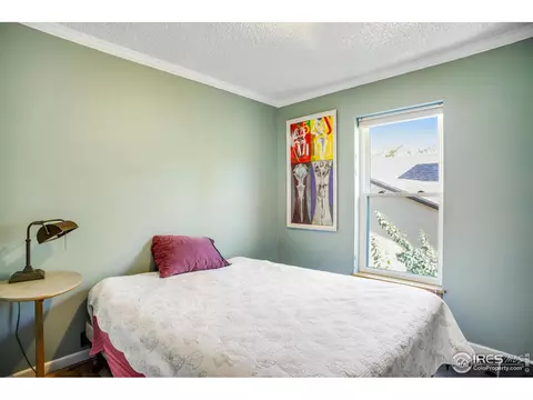 241 Evans St, Lyons, CO 80540 photo 21