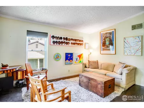 241 Evans St, Lyons, CO 80540 photo 8