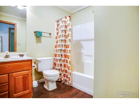 241 Evans St, Lyons, CO 80540 photo 20