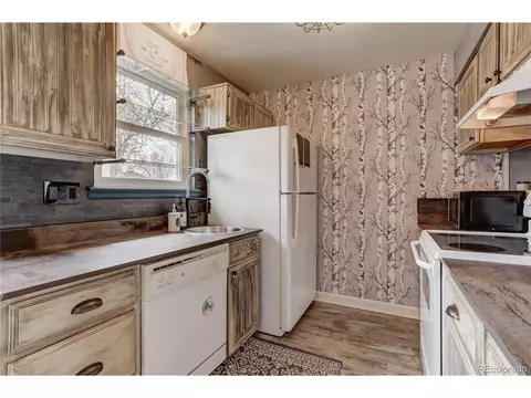 8633 Apache Plume Dr, Parker, CO 80134 photo 9