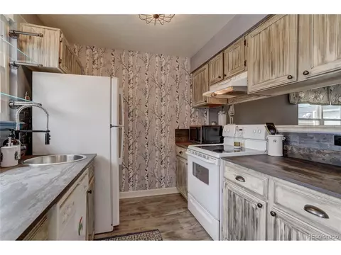 8633 Apache Plume Dr, Parker, CO 80134 photo 10