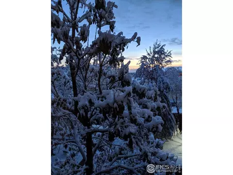 1850 Folsom St #511, Boulder, CO 80302 photo 31