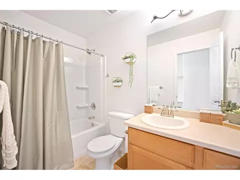723 Elk Mountain Dr, Windsor, CO 80550 photo 19