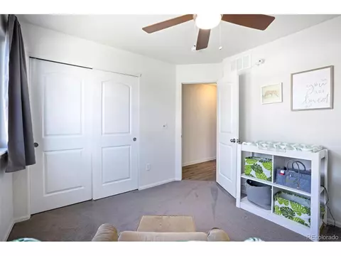 723 Elk Mountain Dr, Windsor, CO 80550 photo 16