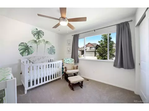723 Elk Mountain Dr, Windsor, CO 80550 photo 15