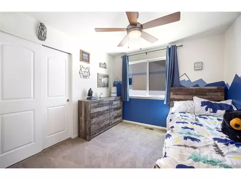 723 Elk Mountain Dr, Windsor, CO 80550 photo 17