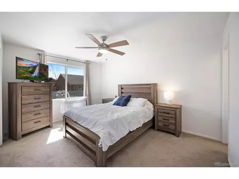 723 Elk Mountain Dr, Windsor, CO 80550 photo 20