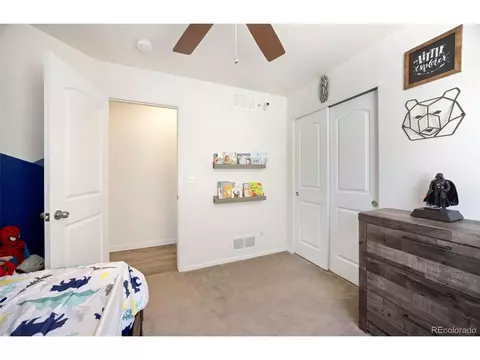 723 Elk Mountain Dr, Windsor, CO 80550 photo 18