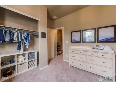 1526 Highfield Ct, Windsor, CO 80550 photo 18