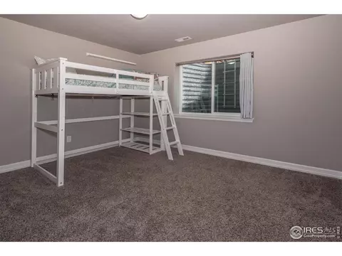 1190 Bowen Pass St, Windsor, CO 80550 photo 28