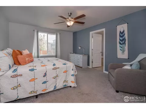 1190 Bowen Pass St, Windsor, CO 80550 photo 14
