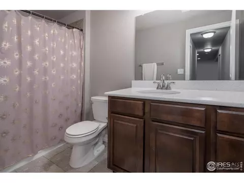 1190 Bowen Pass St, Windsor, CO 80550 photo 30