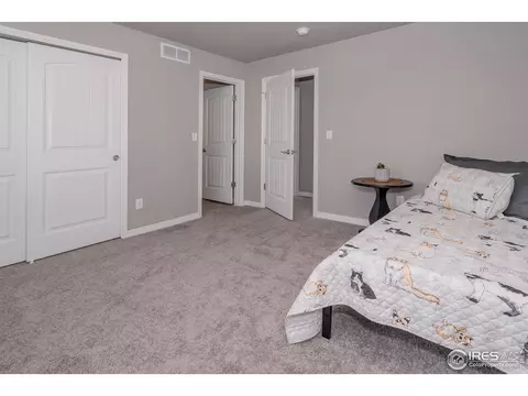 1190 Bowen Pass St, Windsor, CO 80550 photo 21