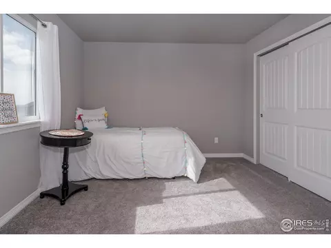 1190 Bowen Pass St, Windsor, CO 80550 photo 22