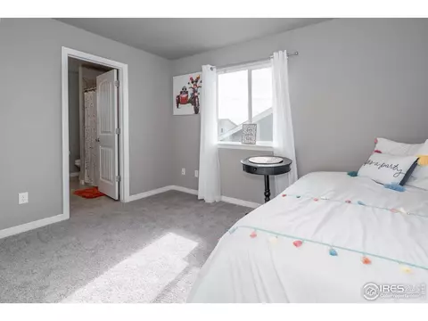 1190 Bowen Pass St, Windsor, CO 80550 photo 23