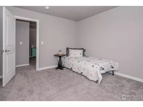 1190 Bowen Pass St, Windsor, CO 80550 photo 20