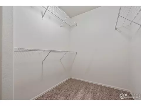 441 Stonebrook Dr, Windsor, CO 80550 photo 17