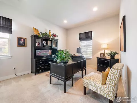 9503 Gore Loop, Arvada, CO 80007 photo 22