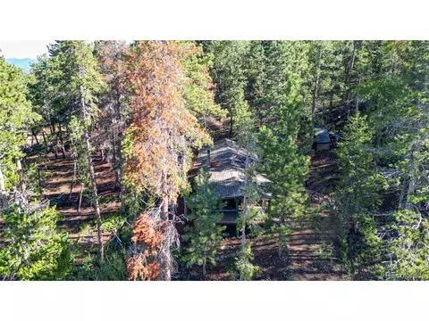 10598 Us Highway 285, Conifer, CO 80433 photo 30