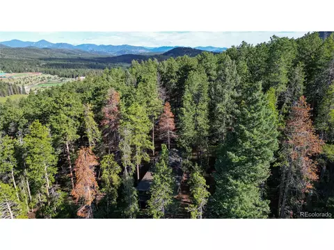 10598 Us Highway 285, Conifer, CO 80433 photo 33