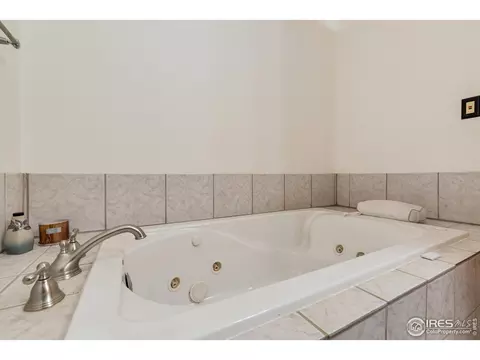 41 E Ilex Ct, Milliken, CO 80543 photo 23