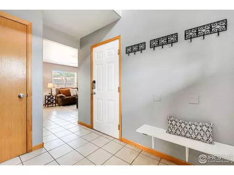 41 E Ilex Ct, Milliken, CO 80543 photo 13