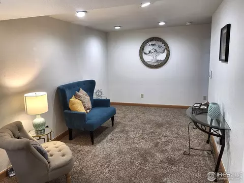 41 E Ilex Ct, Milliken, CO 80543 photo 22