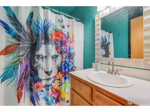 41 E Ilex Ct, Milliken, CO 80543 photo 20