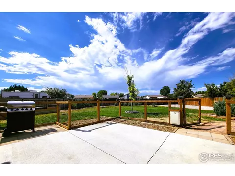 41 E Ilex Ct, Milliken, CO 80543 photo 31
