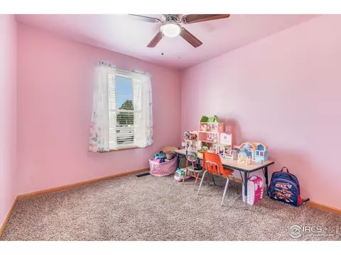 41 E Ilex Ct, Milliken, CO 80543 photo 19