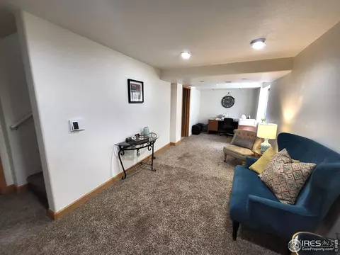 41 E Ilex Ct, Milliken, CO 80543 photo 21