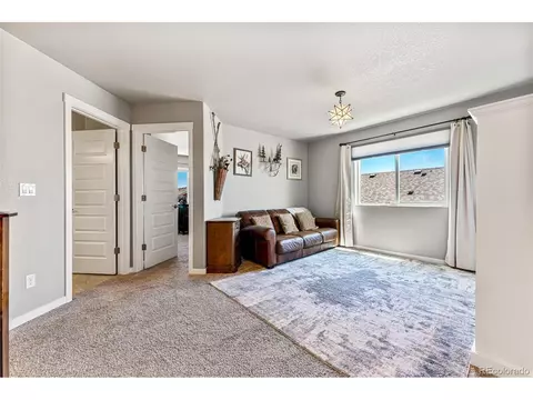 1796 Valley Brook Ln, Severance, CO 80550 photo 16