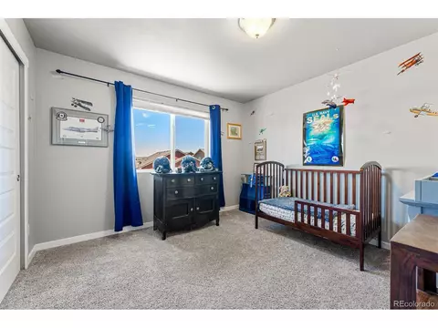 1796 Valley Brook Ln, Severance, CO 80550 photo 27