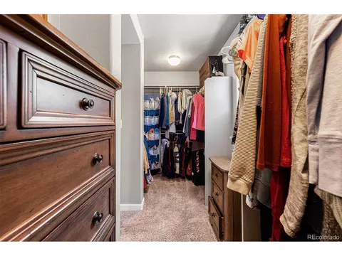1796 Valley Brook Ln, Severance, CO 80550 photo 25