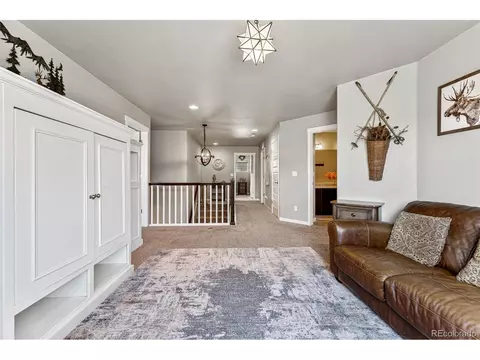 1796 Valley Brook Ln, Severance, CO 80550 photo 17