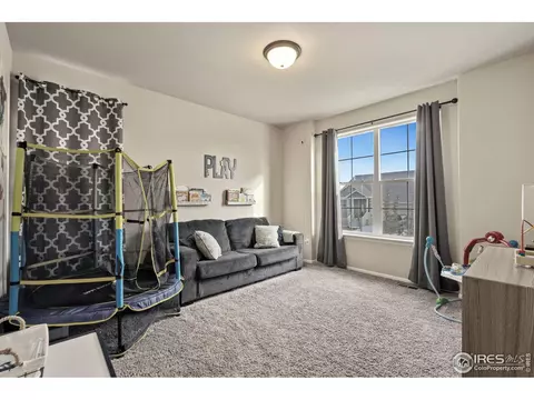 822 Saiga Dr, Severance, CO 80550 photo 4