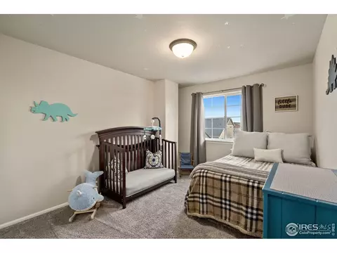 822 Saiga Dr, Severance, CO 80550 photo 14