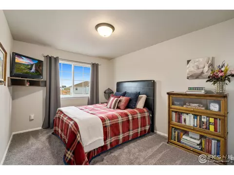 822 Saiga Dr, Severance, CO 80550 photo 16