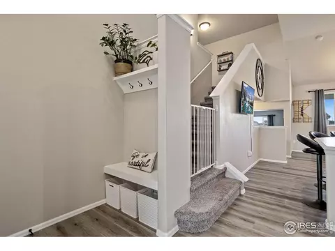 822 Saiga Dr, Severance, CO 80550 photo 2
